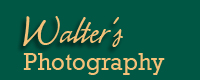 Photography and Printing Services - Schools, Sports, Weddings and More....